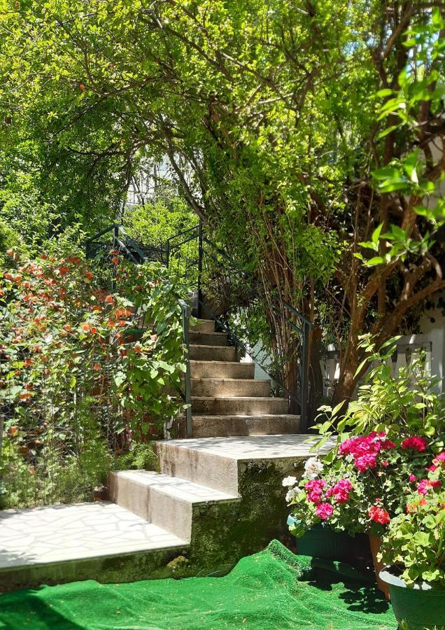 Guesthouse Mixe بودفا المظهر الخارجي الصورة